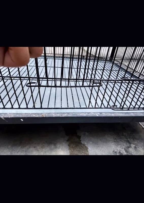 hen cages available 4