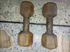 rusty 6kg dumbbells