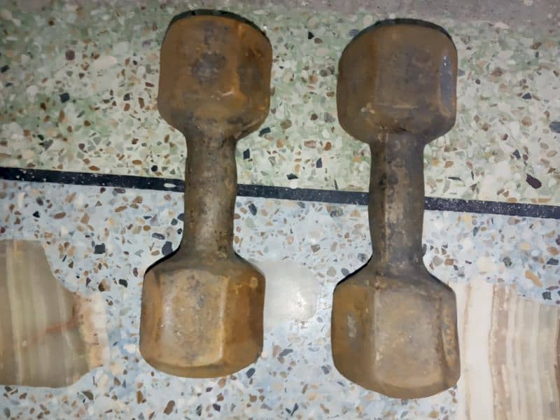 rusty 6kg dumbbells 0