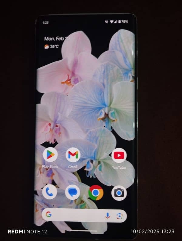 Pixel 6 Pro [Official PTA ] 0