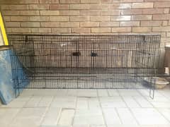 Cages For Sale