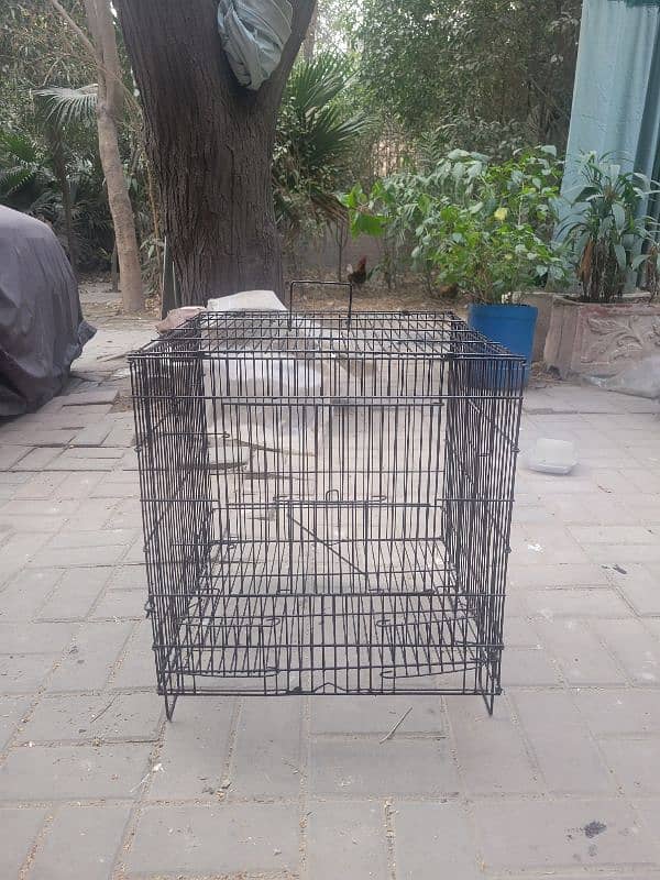 Cages For Sale 1