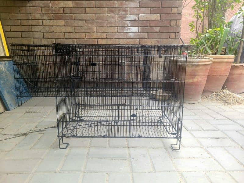 Cages For Sale 3