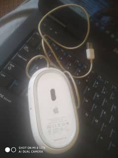 apple  mouse