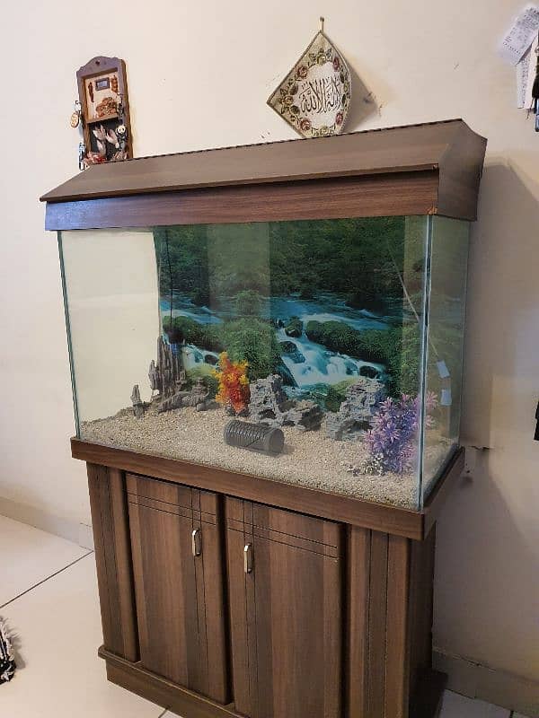 Fish Aquarium Big size 0