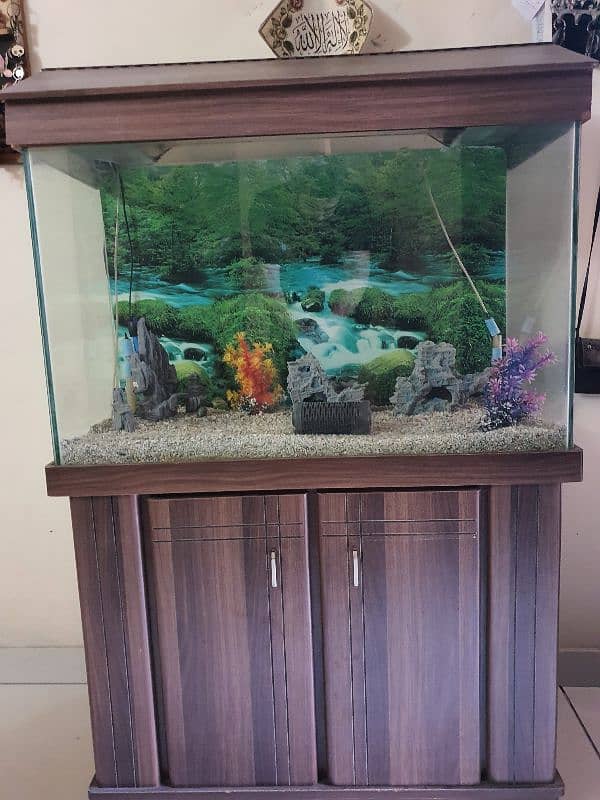 Fish Aquarium Big size 1