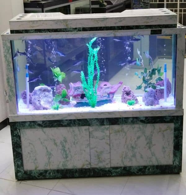 MARBIE AQUARIUM 4