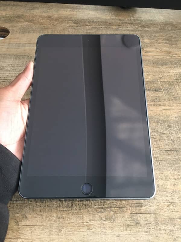 ipad mini 5 10/10 0