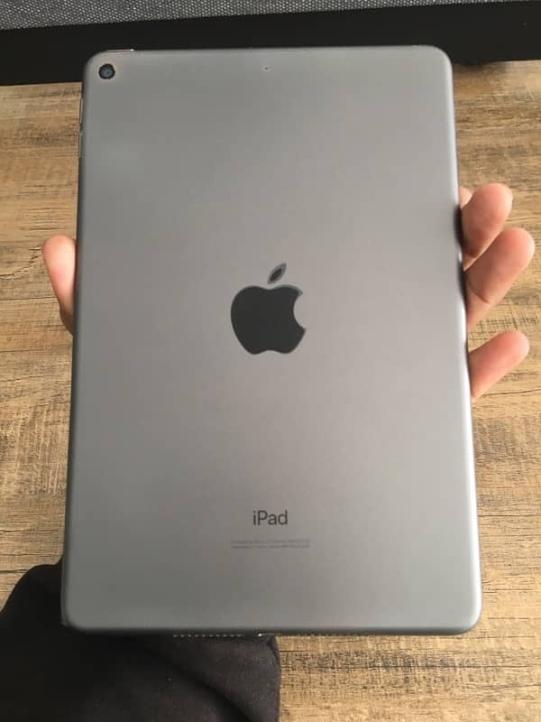 ipad mini 5 10/10 1