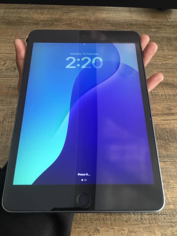 ipad mini 5 10/10 2