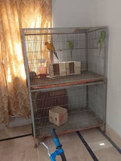 big size double story cage