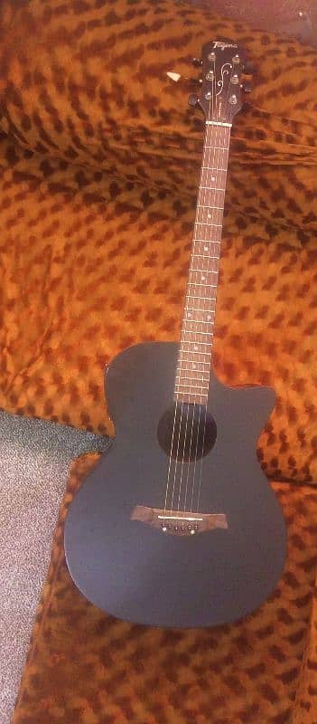 ACAUSTIC concert guitar 1