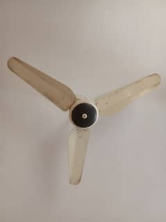 fan