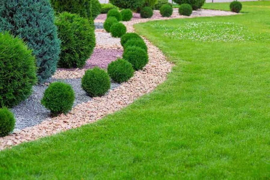 Land Scaping - Horticulture - Blooming Grounds - Green Land Scaping 9