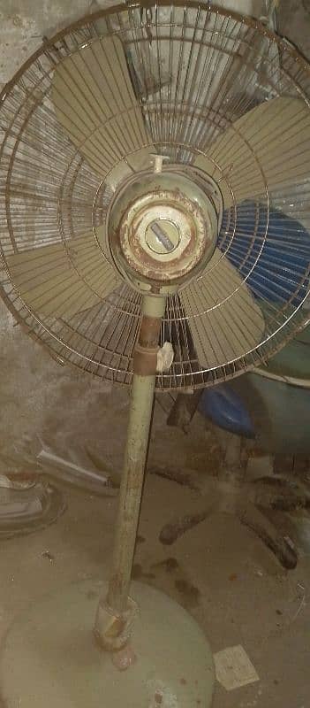 pedestal fan for sell 220v 2