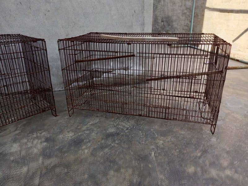 birds colony cage + wood box 5