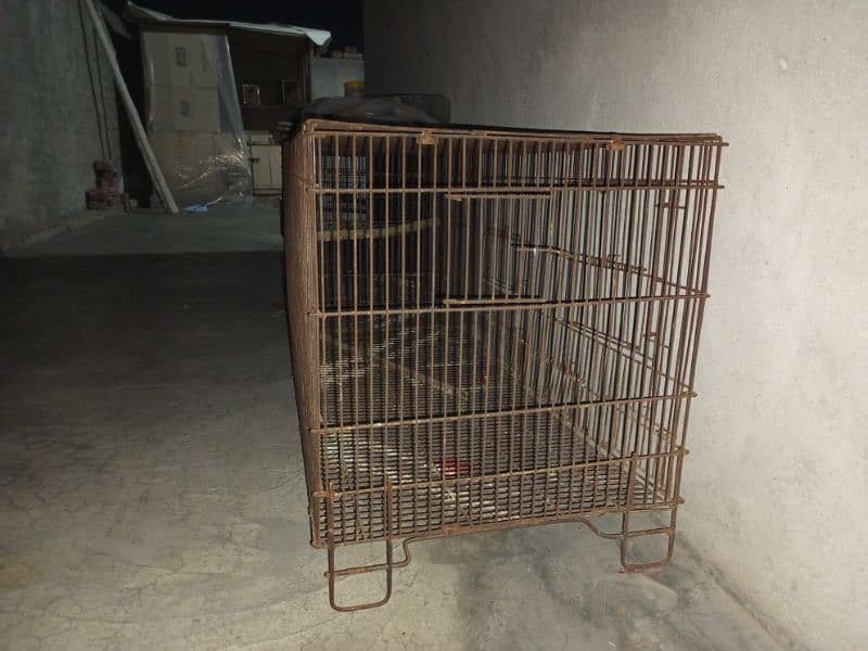 birds colony cage + wood box 6