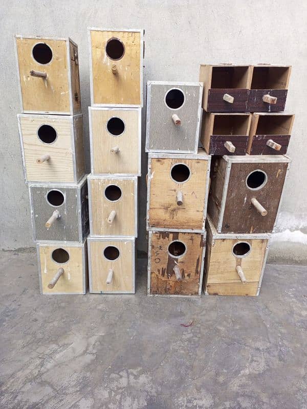 birds colony cage + wood box 7