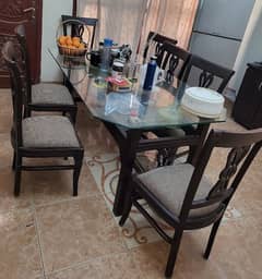 Dining Chairs