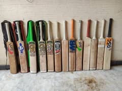 Cricket Hardball Bats