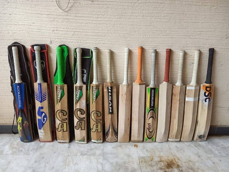 Cricket Hardball Bats 1