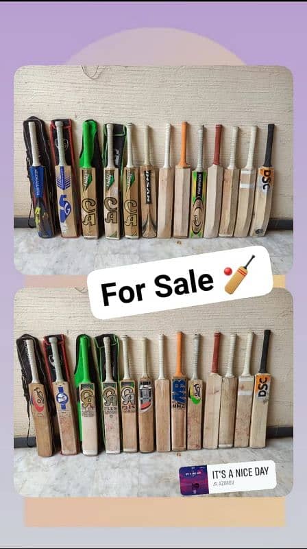 Cricket Hardball Bats 2