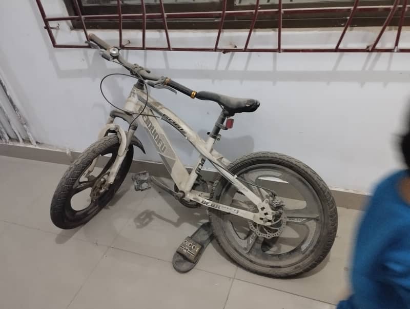 BICYCLE FOR SALE 1