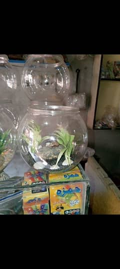 fish bowl with only decoration