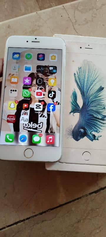 iPhone 6s Plus 64GB PTA approve original mobile original box 1