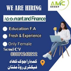 Accountant job (only female)