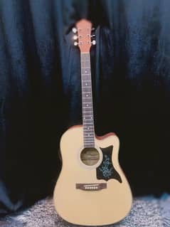 Pre-owned Guitar | Semi-Acoustic Guitar | Affordable price