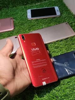 vivo