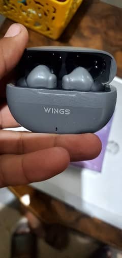 wings