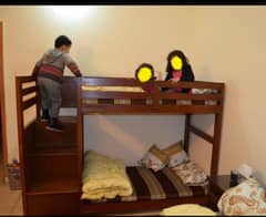 Kids Bunk Bed