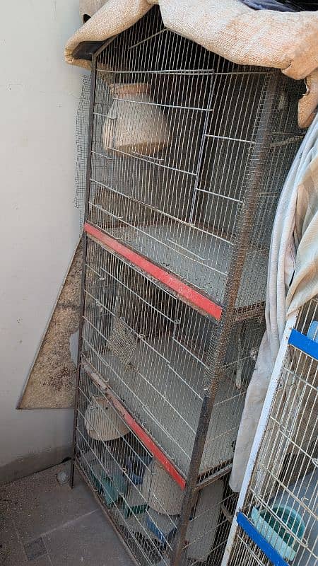 3 portion Cage Available 0