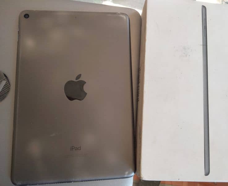 Ipad mini 5 0