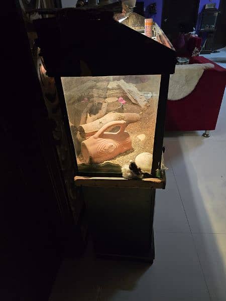 4 ft aquarium 1