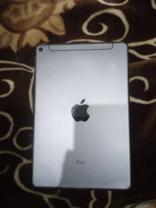 Ipad Mini 5 (wifi+cellular) 0