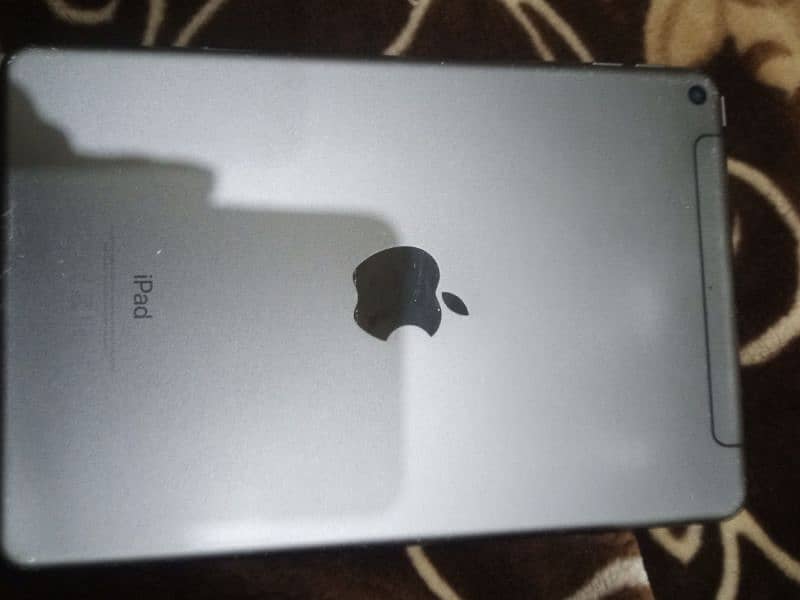 Ipad Mini 5 (wifi+cellular) 4