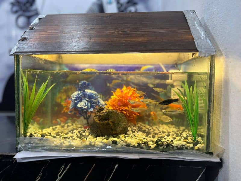 Fish aquarium with fish and Air filter pump and everything 0