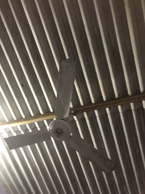 celling  fan 0