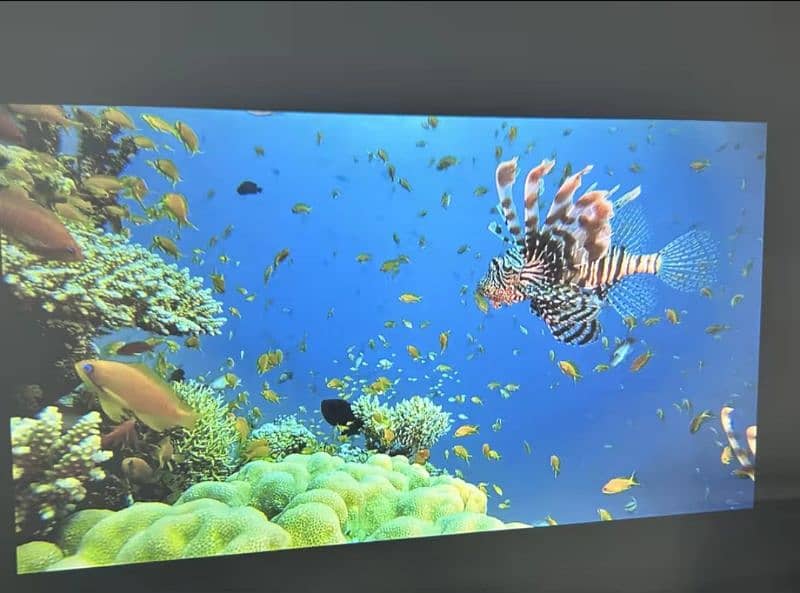 Magcubic Native 1080P 650ANSI 4K Android 11 L018 360° Projector 6