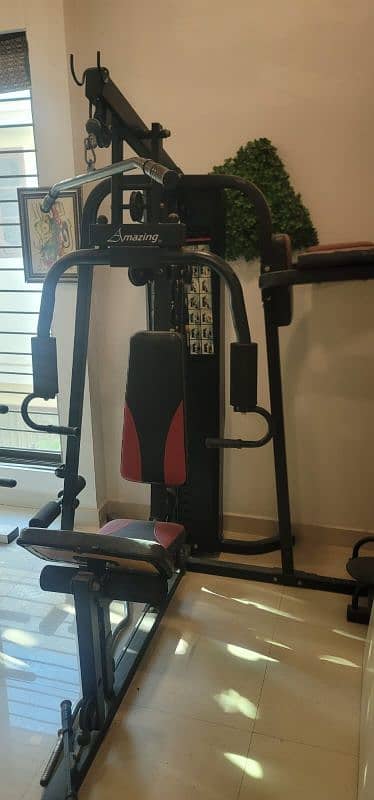 Multi Functional Gym Machine 9