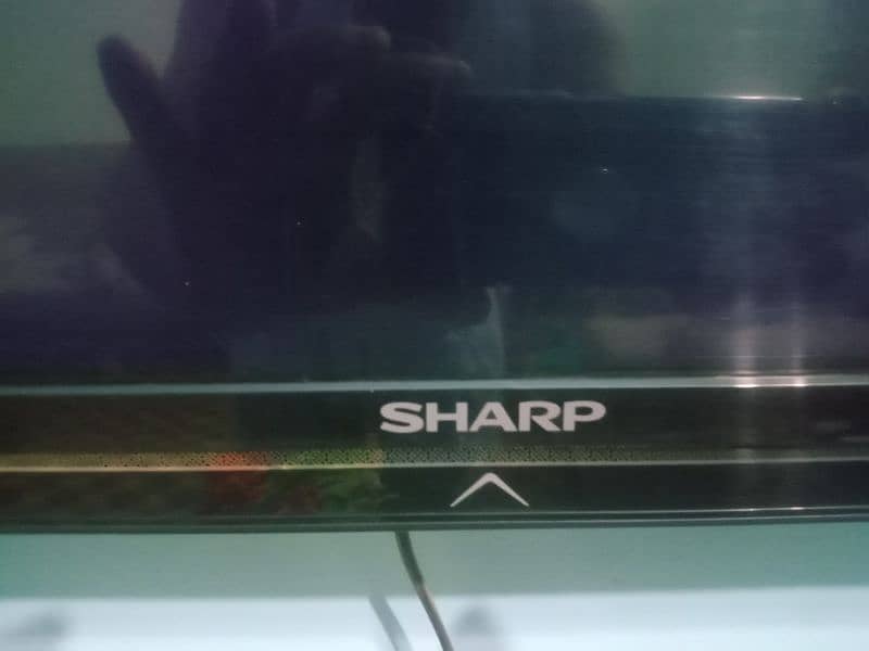 LED sharp company 55 inch. -0312"8542"337 2