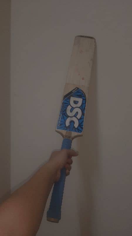 CRICKET BAT 1