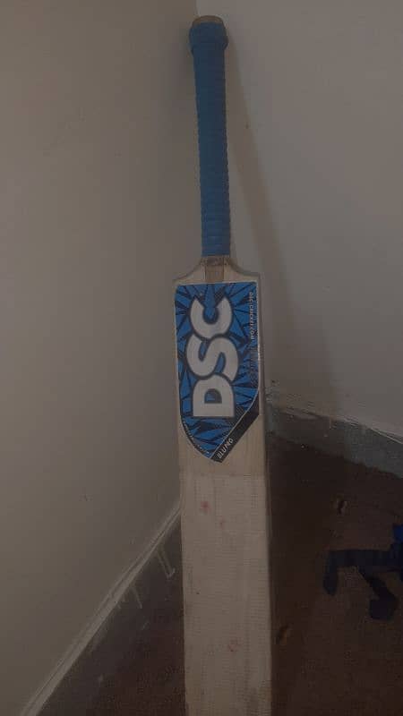 CRICKET BAT 2