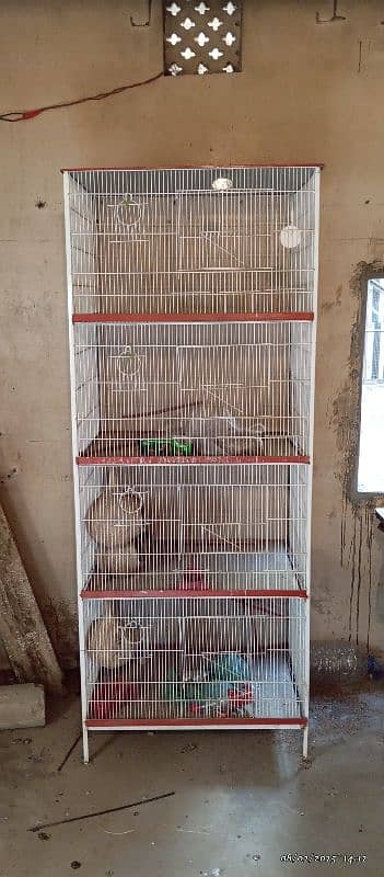 bird cage 1