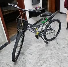 24" SUMAC BICYCLE FOR SALE