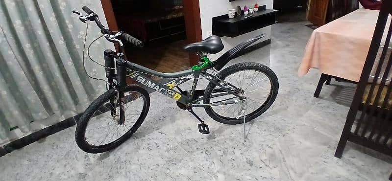 24" SUMAC BICYCLE FOR SALE 8