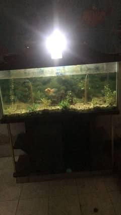 Aquarium for urgent sale